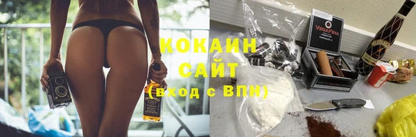 прущие грибы Алексин