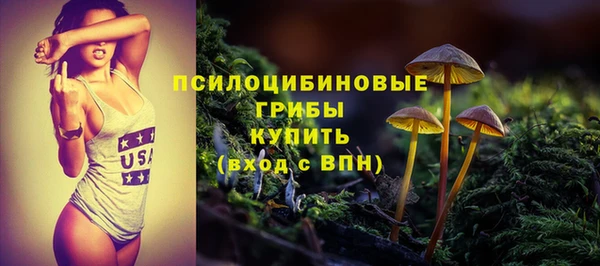 соль ск Алексеевка