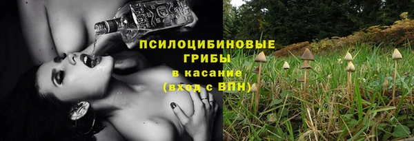 соль ск Алексеевка