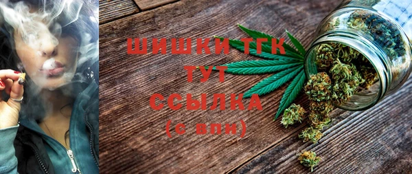 прущие грибы Алексин